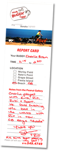 Report card